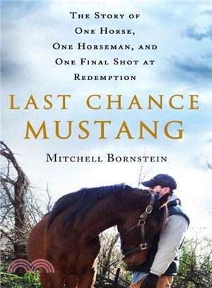 Last Chance Mustang ― The Story of One Horse, One Horseman, and One Final Shot at Redemption