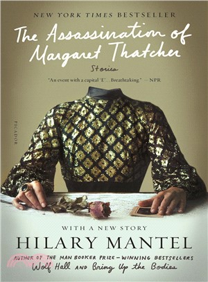 The Assassination of Margaret Thatcher ─ Stories