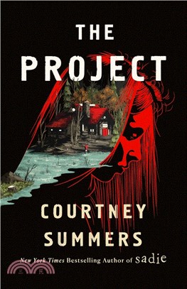 The project :a novel /