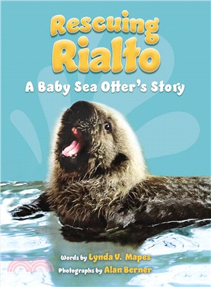 Rescuing Rialto ― A Baby Sea Otter's Story
