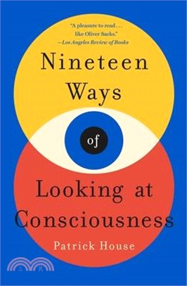 Nineteen Ways of Looking at Consciousness