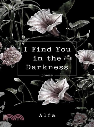 I Find You in the Darkness ― Poems