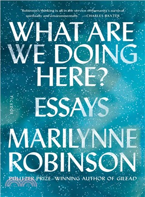 What Are We Doing Here? ― Essays