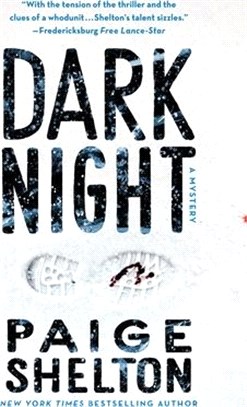 Dark Night: A Mystery