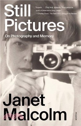 Still Pictures：On Photography and Memory