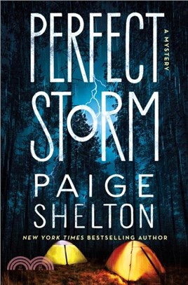 Perfect Storm: A Mystery