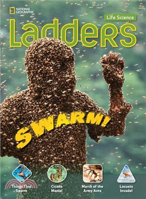 Swarm!