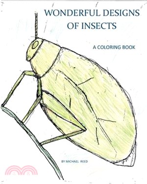 Wonderful Designs of Insects: A Coloring Book