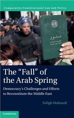 The 'Fall' of the Arab Spring：Democracy's Challenges and Efforts to Reconstitute the Middle East