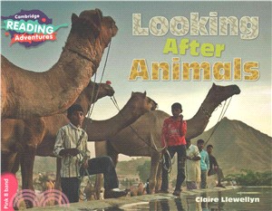 Looking After Animals