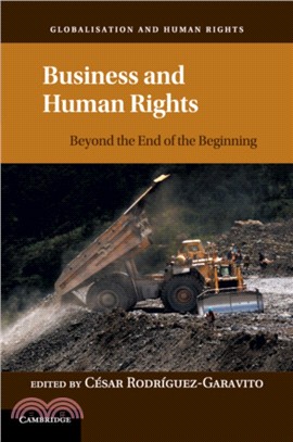 Business and Human Rights：Beyond the End of the Beginning