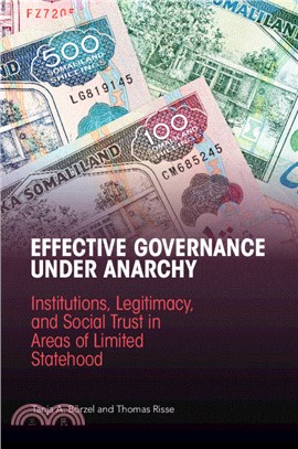 Effective Governance Under Anarchy：Institutions, Legitimacy, and Social Trust in Areas of Limited Statehood