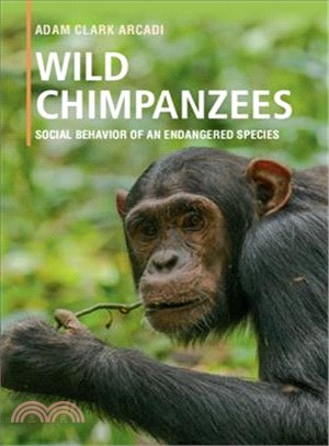 Wild Chimpanzees ― Social Behavior of an Endangered Species