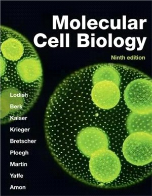 Molecular Cell Biology (IE)