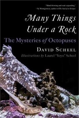 Many Things Under a Rock: The Mysteries of Octopuses