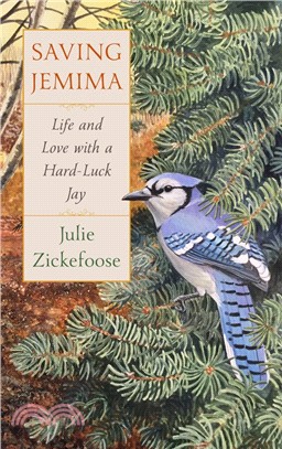 Saving Jemima ― Life and Love With a Hard-luck Jay