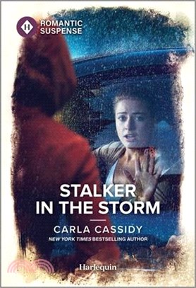 Stalker in the Storm