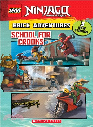 School for Crooks (Lego Ninjago Chapter)