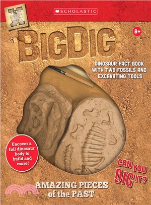 Big Dig Excavation Kit