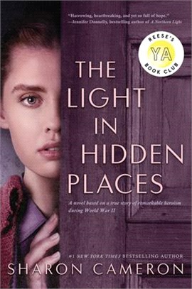 The light in hidden places :...