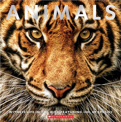 Animals ― Witness Life in the Wild Featuring 100s of Species