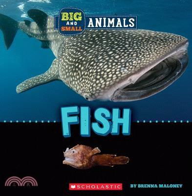 Big and Small: Fish (Wild World)