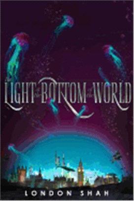 The light at the bottom of the world /