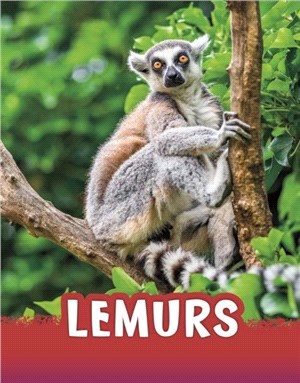 Lemurs