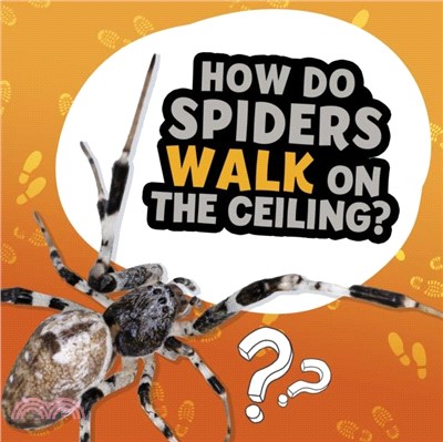 How Do Spiders Walk on the Ceiling?