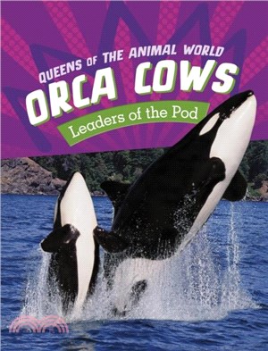 Orca Cows：Leaders of the Pod