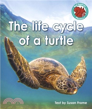 The life cycle of a turtle