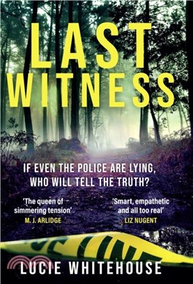 Last Witness：The brand new 2024 crime thriller that will keep you up all night