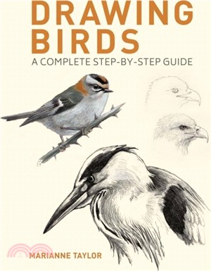 Drawing Birds：A Complete Step-by-Step Guide