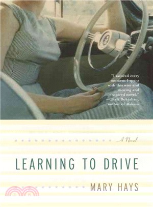 Learning To Drive