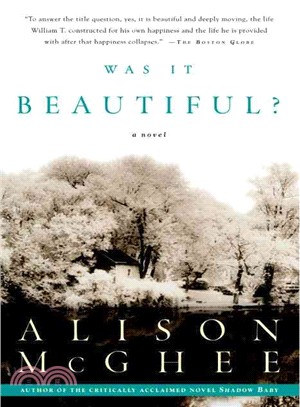 Was It Beautiful—A Novel