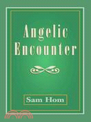 Angelic Encounter