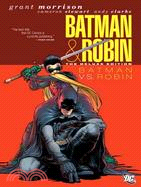 Batman and Robin: Batman vs. Robin