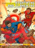 Superman: Nightwing & Flamebird 2