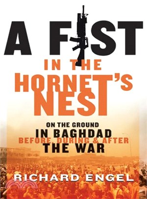 Fist In The Hornet's Nest ― On The Ground In Baghdad Before, During And After The War