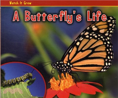 A Butterfly's Life