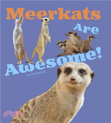 Meerkats Are Awesome!