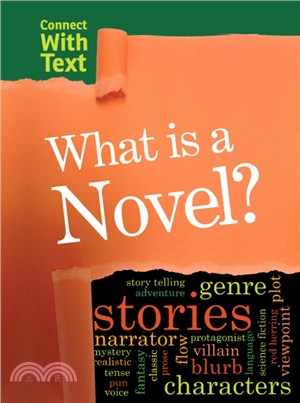 What is a Novel?