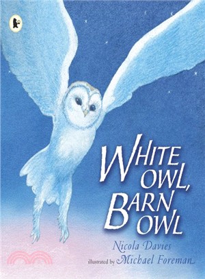 White owl, barn owl /