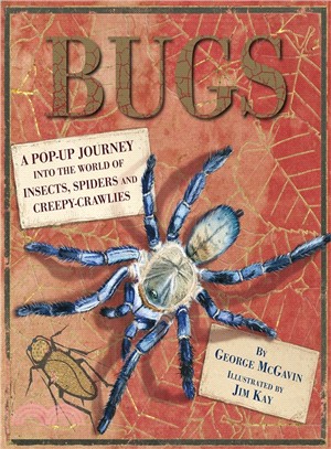 Bugs :a pop-up journey into ...