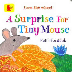 A surprise for tiny mouse /