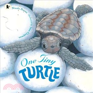 One Tiny Turtle (平裝本)