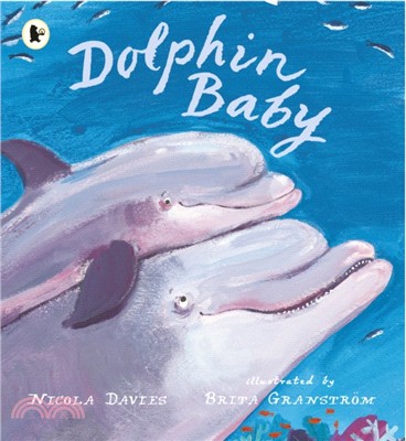 Dolphin Baby (平裝本)
