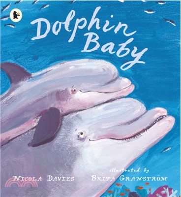 Dolphin baby /