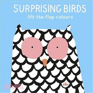 Surprising Birds: Lift-the-Flap Colours