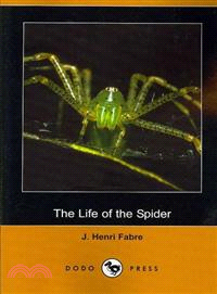 The Life of the Spider